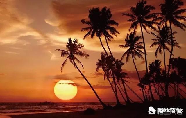 初学者单反相机入门教程,如何学习单反数码相机的简单操作