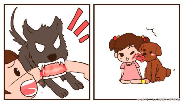 睿趣百科｜如何鉴别被猫狗咬伤后是否患上狂犬病