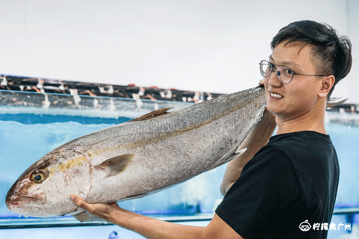 价值20w的金枪鱼,价值2k的蓝鳍金枪鱼