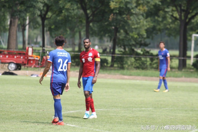 里卡多回顾,里卡多赛季回顾