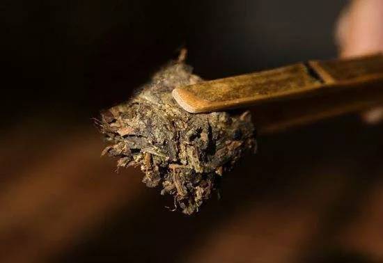 一喝单丛误终生从蜜兰香开始,一喝单丛茶就胃疼