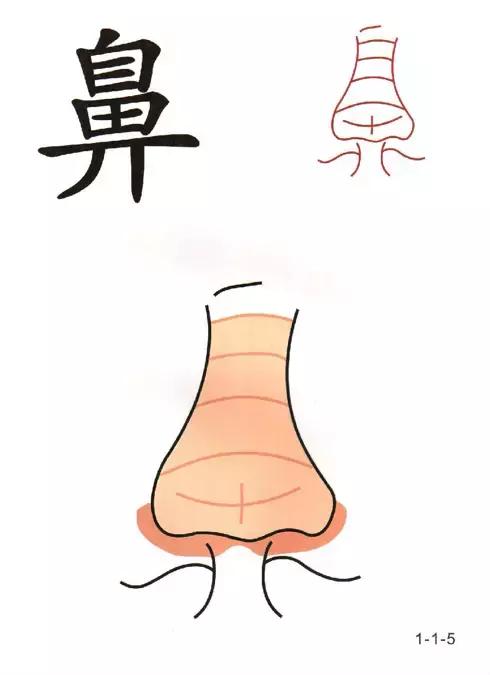 教一年级孩子快速识字的方法,6岁儿童识字认字学习视频