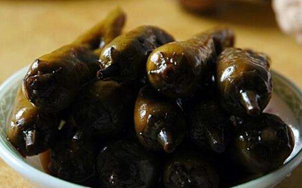 氧生度｜在巴塘，在高山海子之间跳起弦子唱起歌