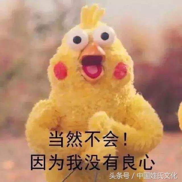 最难懂三十种方言河南话,这才是真正的正宗河南方言