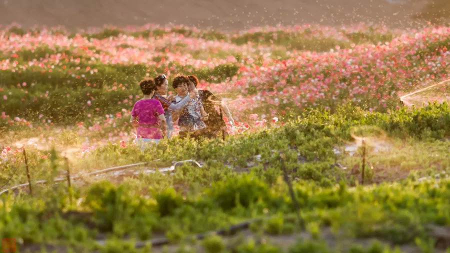 张掖是现在的什么城市,张掖一座被严重低估的城市