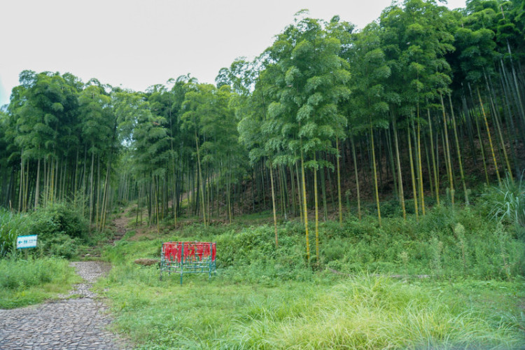 湖州安吉旅游省钱攻略,湖州安吉旅游景点攻略