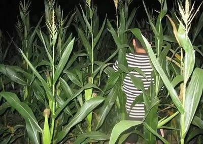 这些号称“绝招”的神技，黔南人你还记得几招？