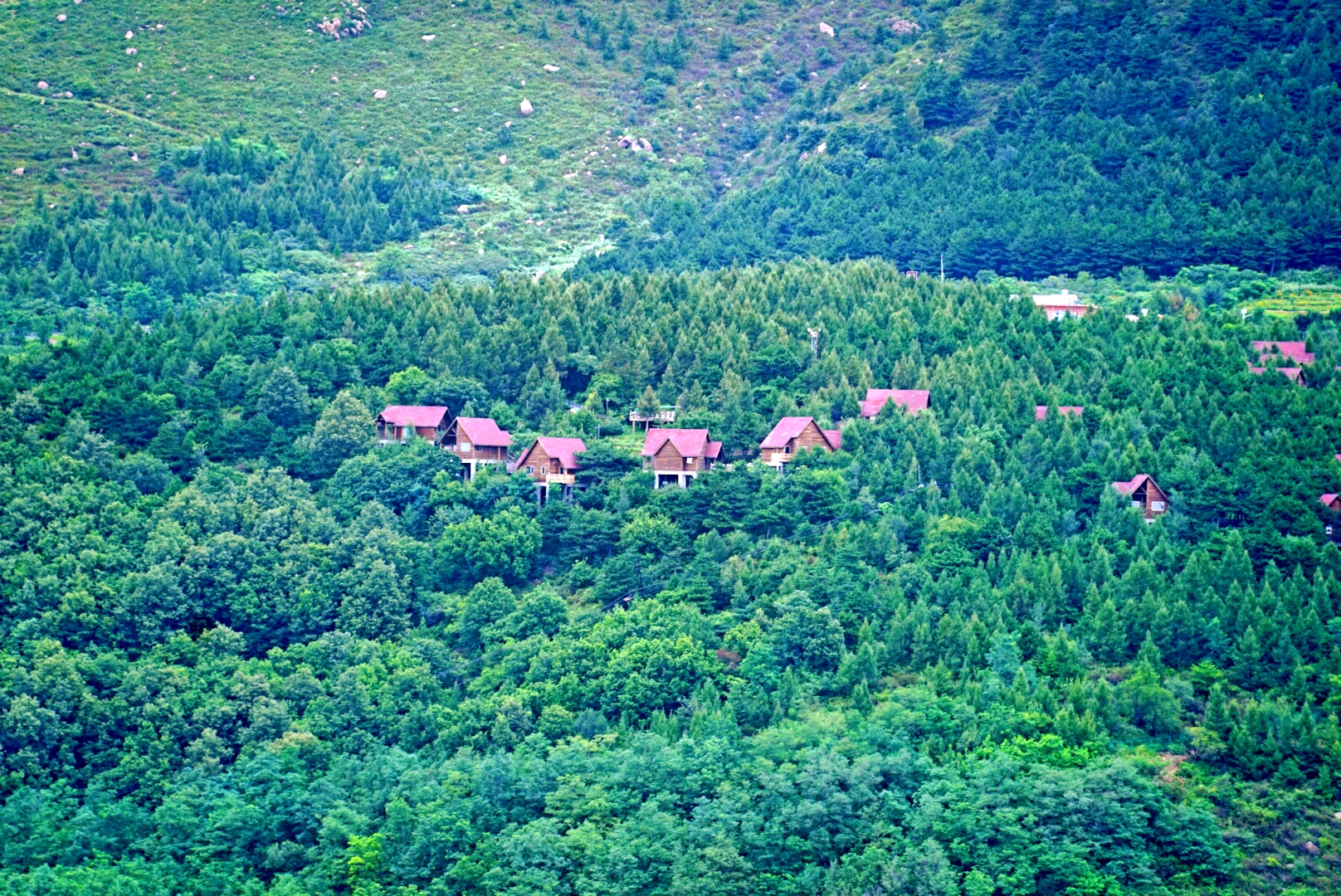 大森林里的小木屋秋雨后美成让人窒息云海小木屋离北京120公里