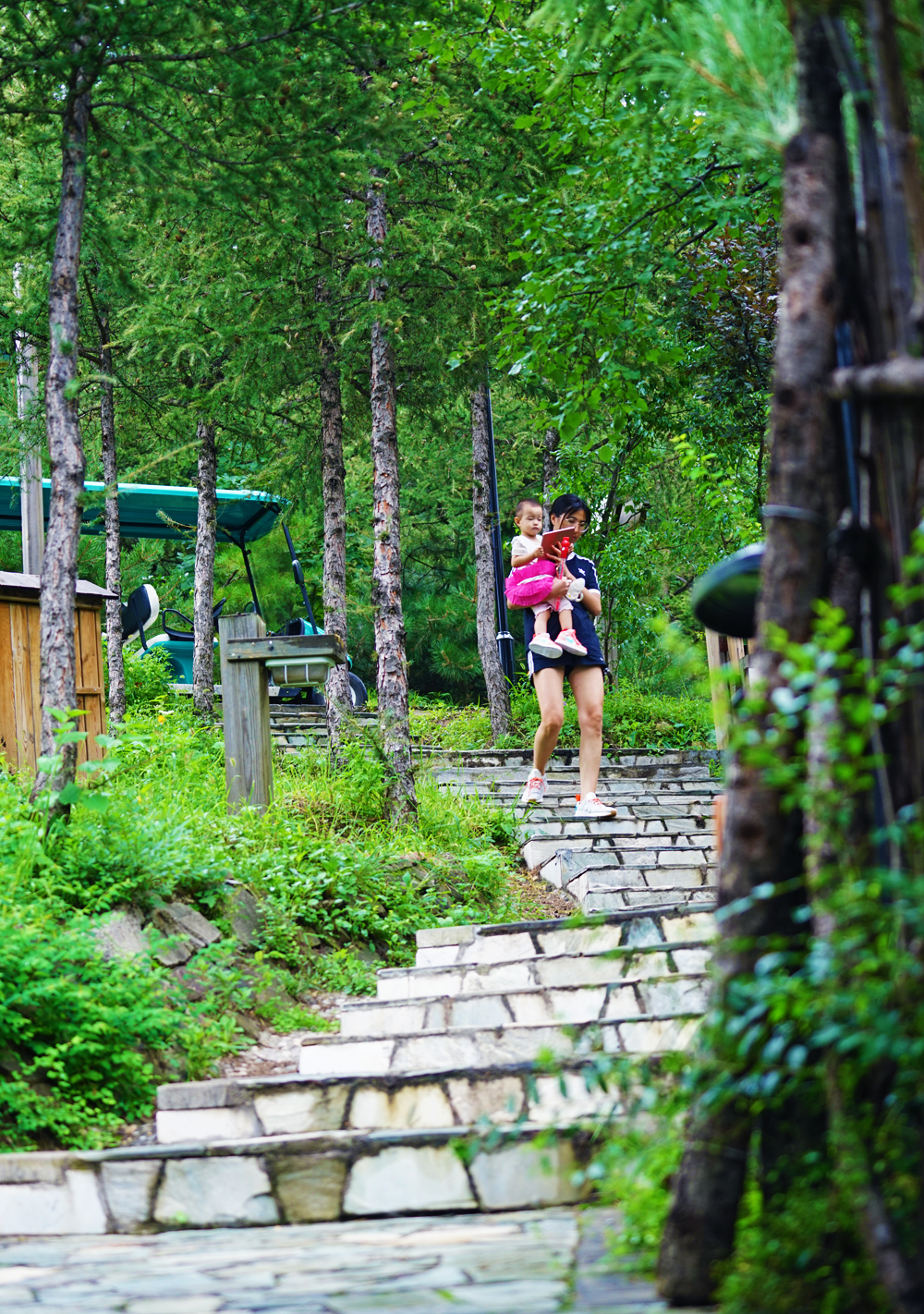 大森林里的小木屋秋雨后美成让人窒息云海小木屋离北京120公里