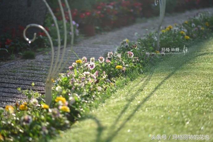 开满鲜花的小路教学设计一等奖,园丁培植万朵花