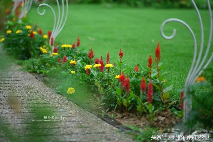 开满鲜花的小路教学设计一等奖,园丁培植万朵花