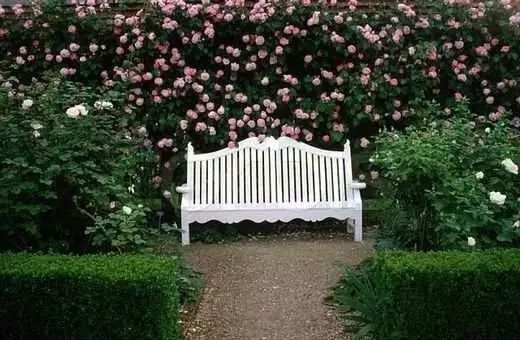 一生以花为伴,以花为伴虚度光阴