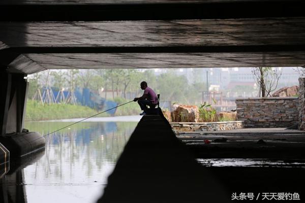 黄颡鱼用什么饵料开饵,黄颡鱼夏季用什么饵最好