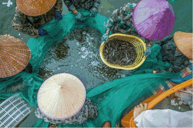 跟着旅游达人去体验,跟着旅行达人一起去日本