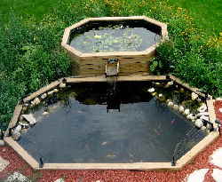 「龟龟环境篇」沼泽过滤(bogfilter):一种原生态水处理技术