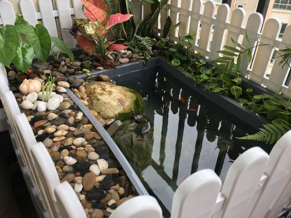 「龟龟环境篇」沼泽过滤(bogfilter):一种原生态水处理技术