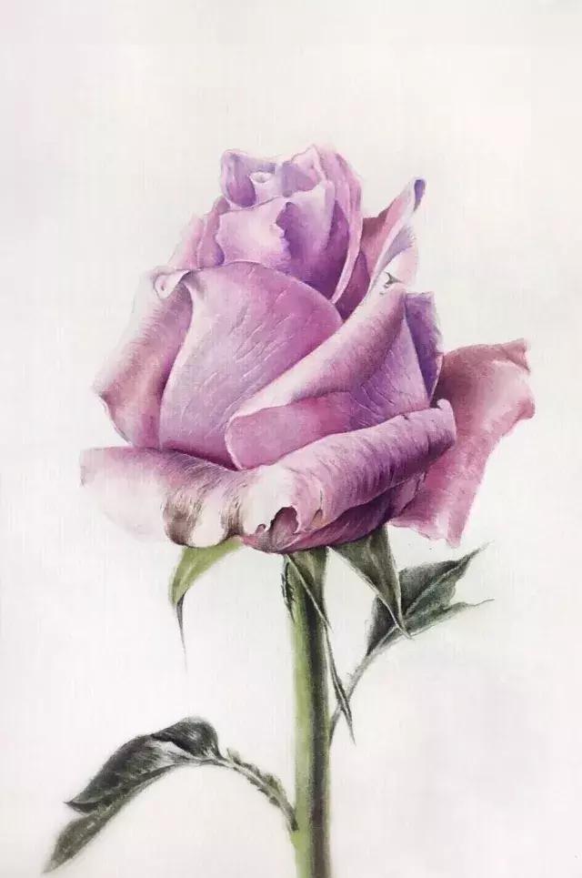 彩铅水彩怎么一起用,彩铅学出来有什么用