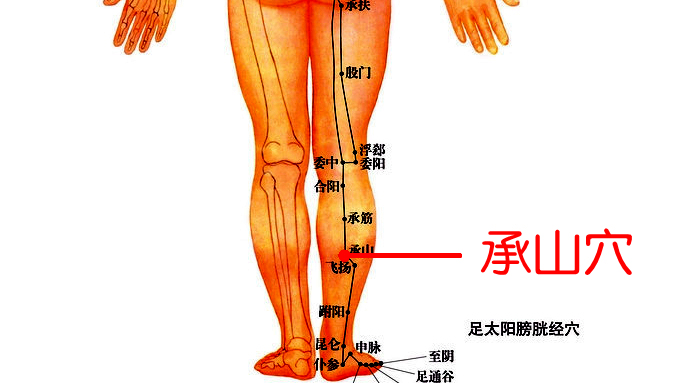 中医养生16个穴位帮你排湿气,痰湿体质按什么穴位可以祛湿