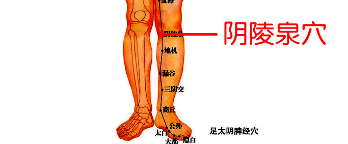 中医养生16个穴位帮你排湿气,痰湿体质按什么穴位可以祛湿