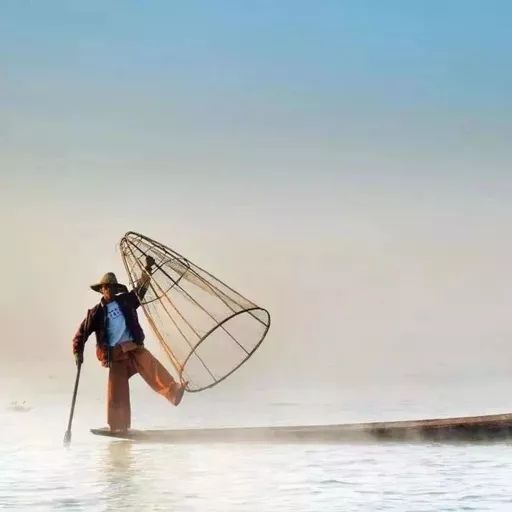 拼多多和淘系对比,拼多多云集跨境电商