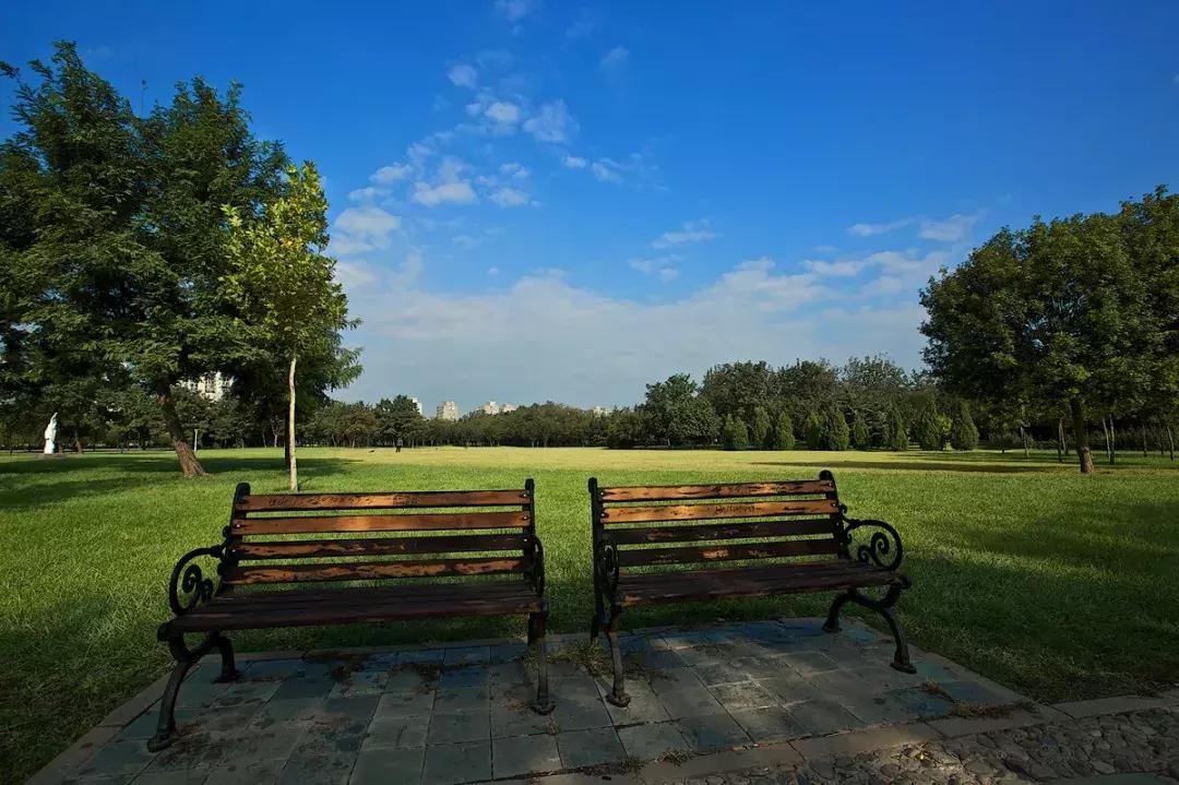 天津市区旅游景点大全集地图,天津超全游玩攻略懒人自取