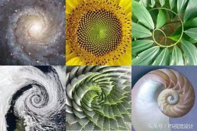 什么是黄金分割比例,设计的黄金比例