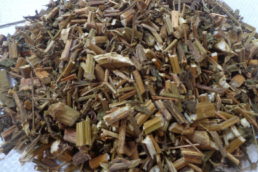 降血压的野草鬼针草图片,鬼针草降血压验方