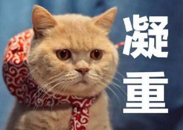 郑州办理居住证全流程2020,郑州办理居住证都需要什么手续