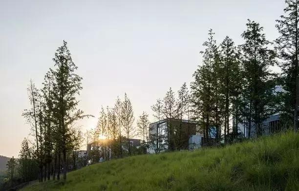 造价千万的完美球场秋天的青山湖边藏了一个网红级别的团建圣地