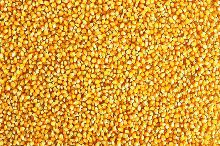 自制老坛发酵窝料,比较简单的发酵窝料制作