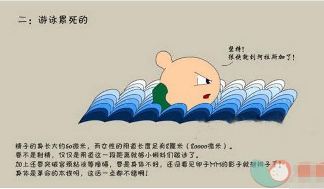 发现还没出生的小蝌蚪,盘点那些还没有投胎的宝宝