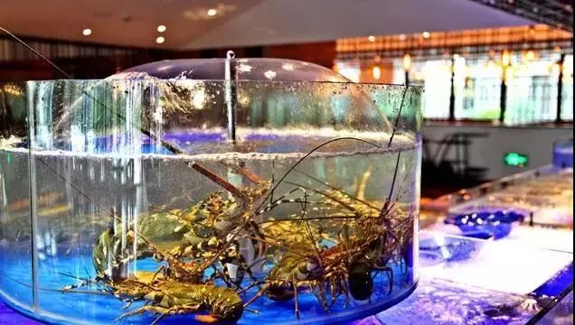 十大高端海鲜餐厅,特别好吃的海鲜餐