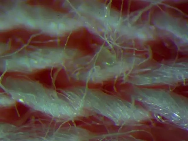 螨虫走开！中疾控检测100%有效，家有小宝、消除过敏源必备