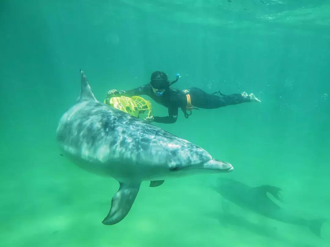 33个理由告诉你，为什么一生一定要去一次澳大利亚！