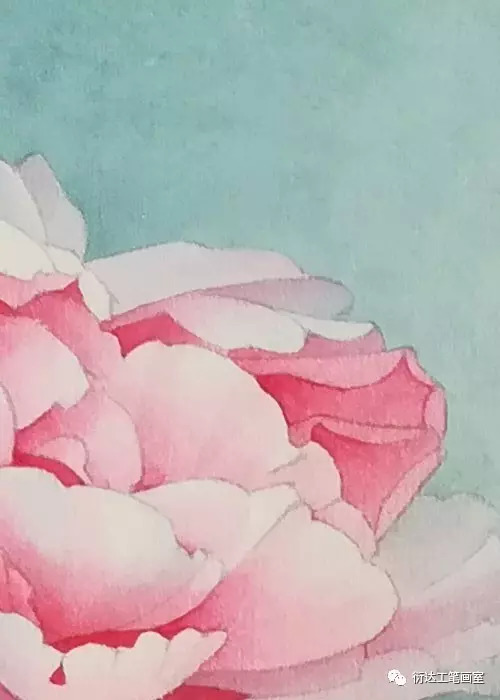 魏衍达工笔葡萄设色步骤,魏衍达工笔葡萄的画法教程