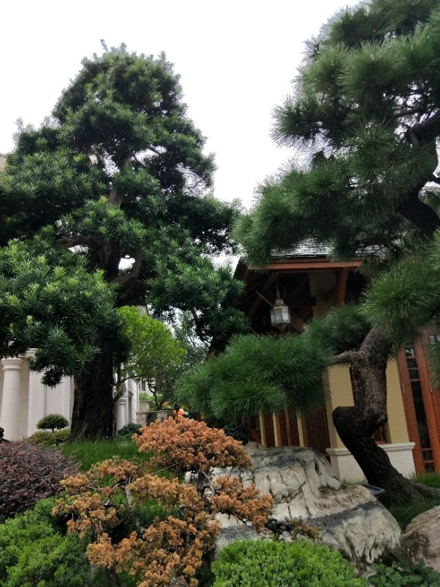 东成红木整装,东成红木的传说