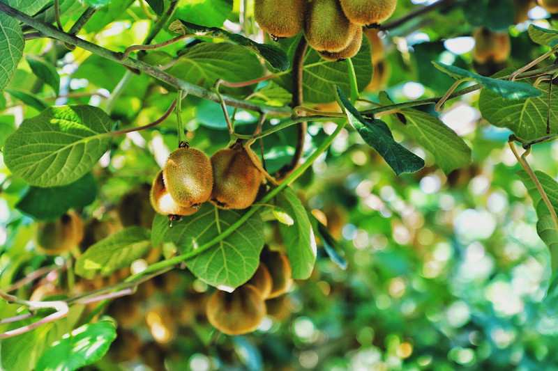 苏皖浙三省交界处,秋冬广德旅游攻略
