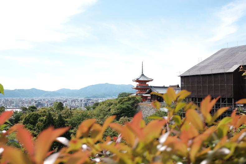 一个自称高达迷的媳妇迷拎包客的日本蜜月之行，幸福满满~