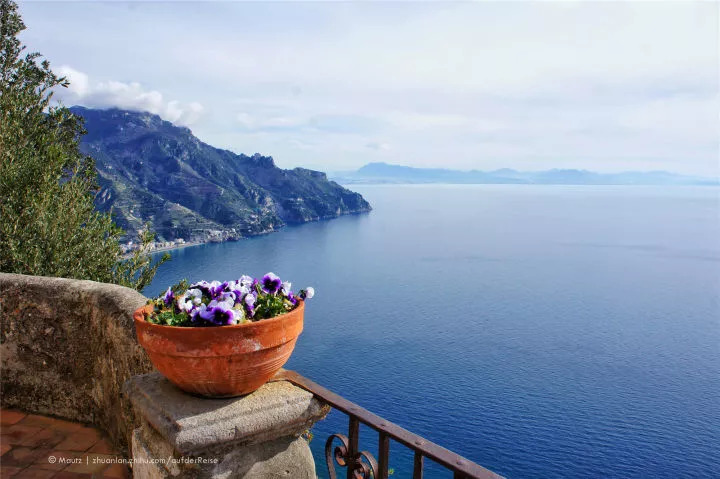 神奇女侠天堂岛卡洛斯,神奇女侠天堂岛有什么