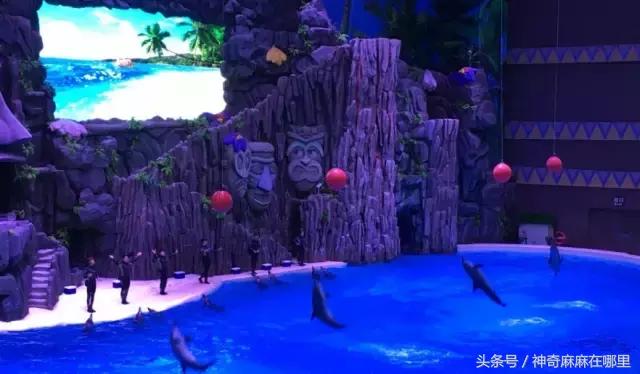 珠海长隆旅游攻略3天自由行,亲子游珠海长隆一日游攻略