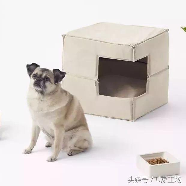 便宜又好用的猫窝有哪些,这六种猫窝你一定买过