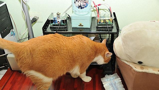 电脑音响还要声卡吗,电脑音响需要配功放吗