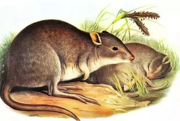 成事在人富贵在天,成事在人富贵在天原唱