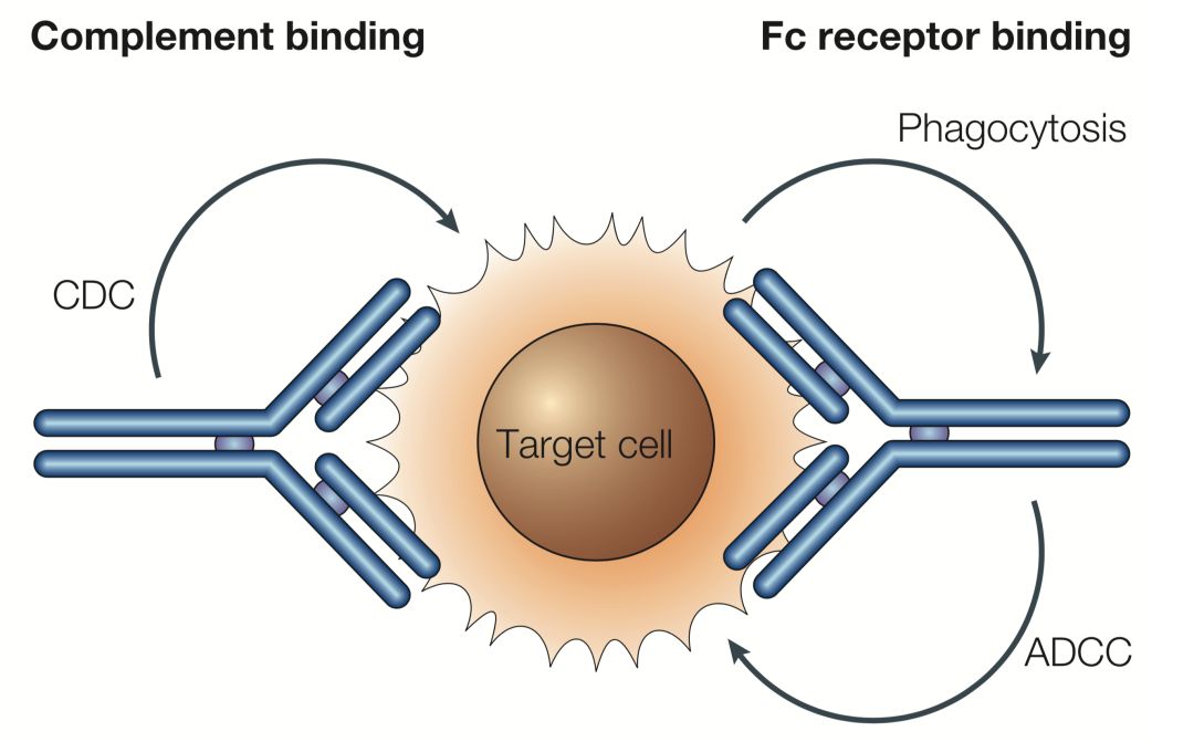 国产抗癌药pd1最新消息,重磅抗癌新药pd-1