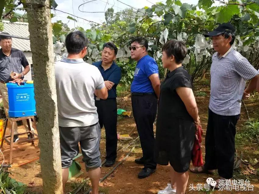 弥勒蚊虫消杀,弥勒病媒消杀