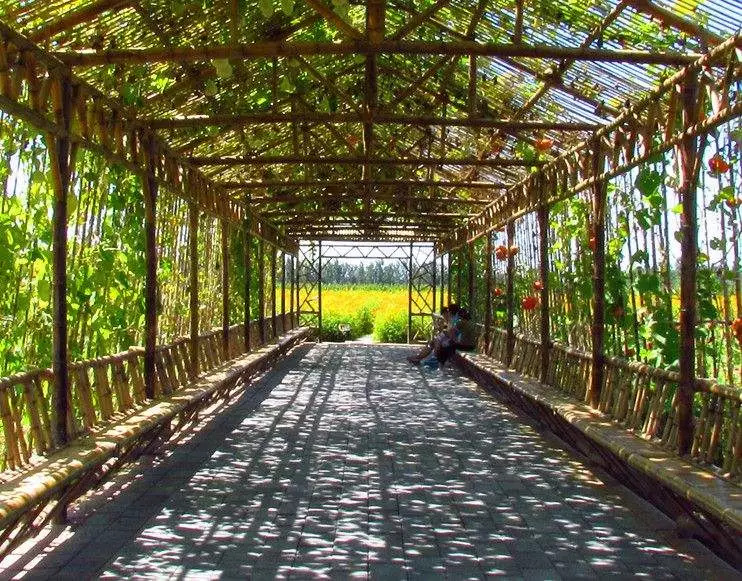 北京周边有什么特色农场适合遛娃,北京附近的休闲生态农场哪个好玩