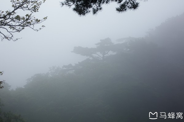 六小爷,六小爷唱的歌