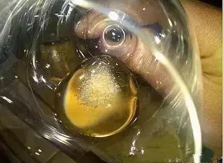 罗曼尼康帝放进冷冻室,忘了及时拿,成就了世界上最贵的冰棍