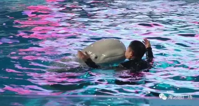 家有美景来欣赏何必外出看风景,家有美景何必远方