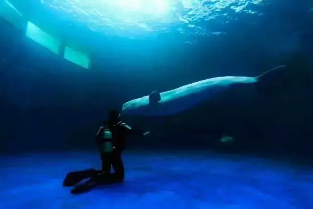 家有美景来欣赏何必外出看风景,家有美景何必远方